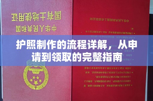托里护照制作的流程详解，从申请到领取的完整指南